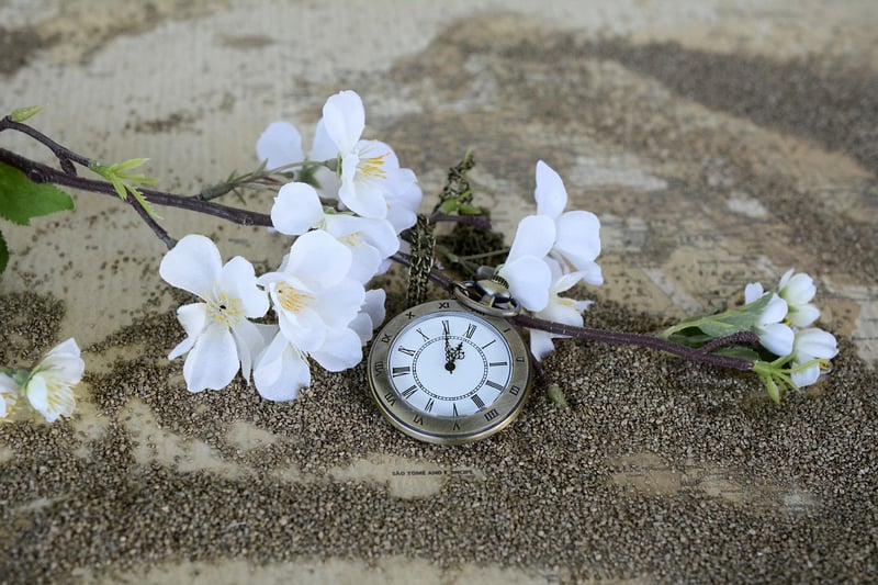 Time Loop Image