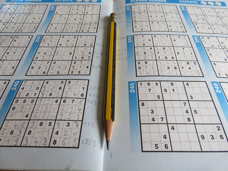 Sudoku Puzzle